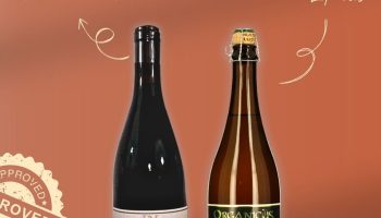 Nos pépites du moment : deux belles découvertes à savourer